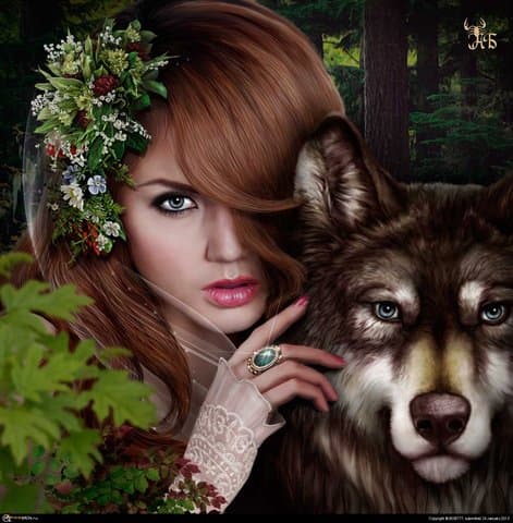 Обложка для диска