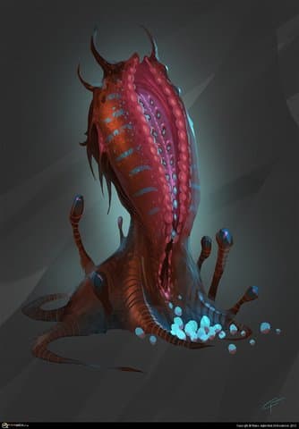 загадочное дерево