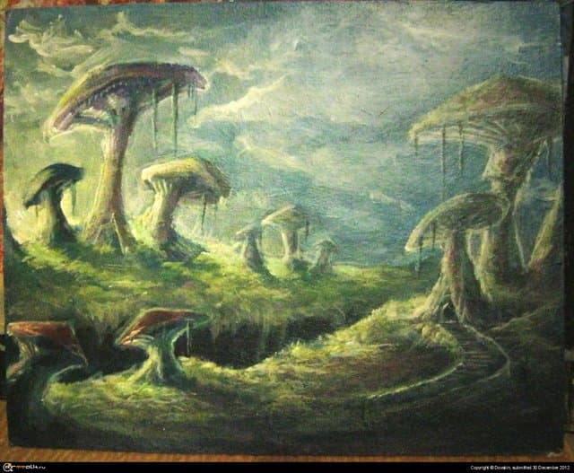 Грибная долина