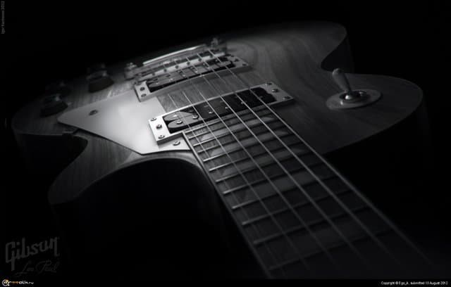 Black And White Les Paul