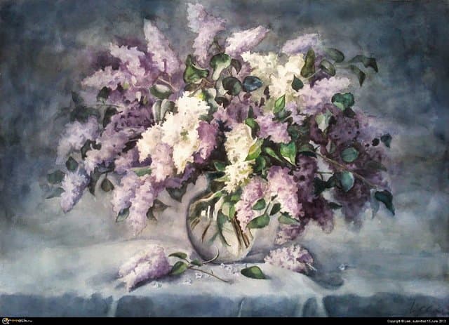 Diploma - Lilac