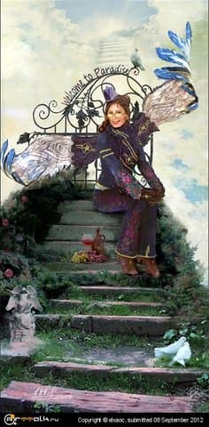 небесный борт.