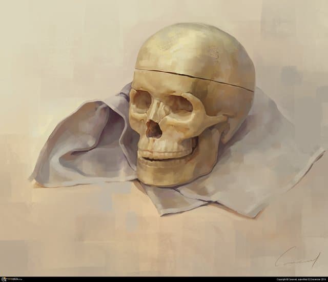 пластиковая черепушка, с натуры