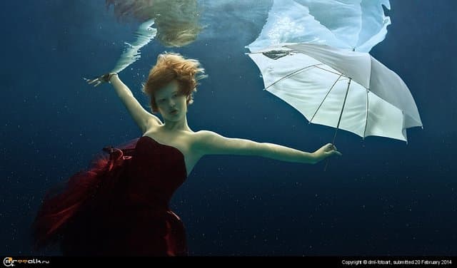 Fish And Umbrella.