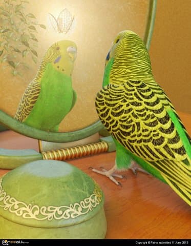 Взгляд из Зазеркалья