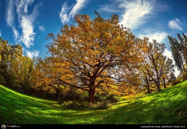 Sunny Day In September