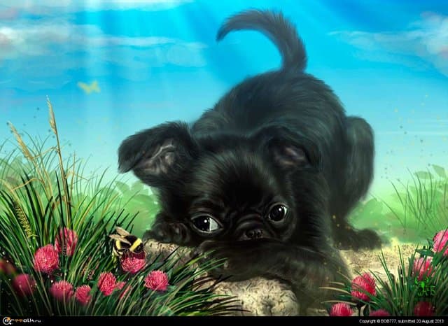 Охота на ШМЕЛЯ!!)))