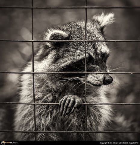 Brother Has Something To Eat?