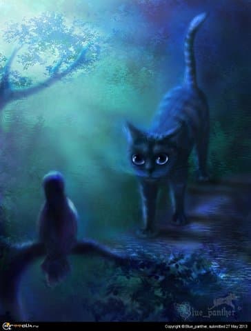 Ночь. Улица. Котэ.