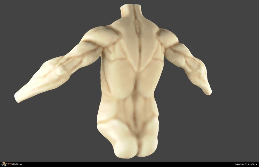 0002.thumb.jpg.743e50e83697252b29aeefc5f104720d.jpg