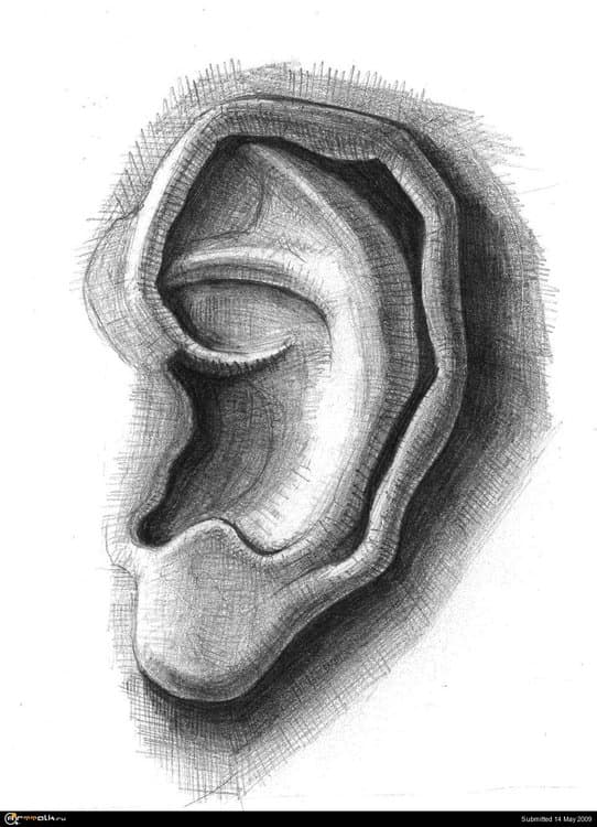 001.thumb.jpg.0eb2d683074e882d840050fcdcb2d37b.jpg