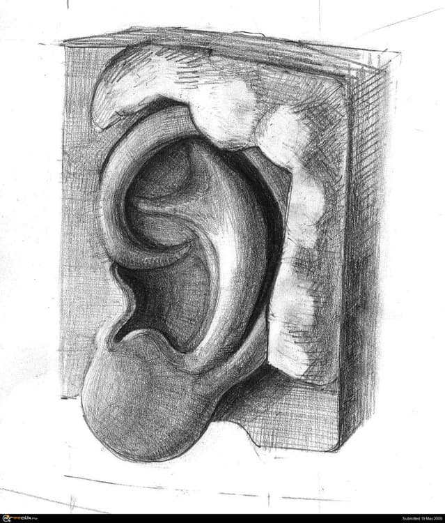 005.thumb.jpg.07ae8a5b002b2f80904904b68f7f6788.jpg