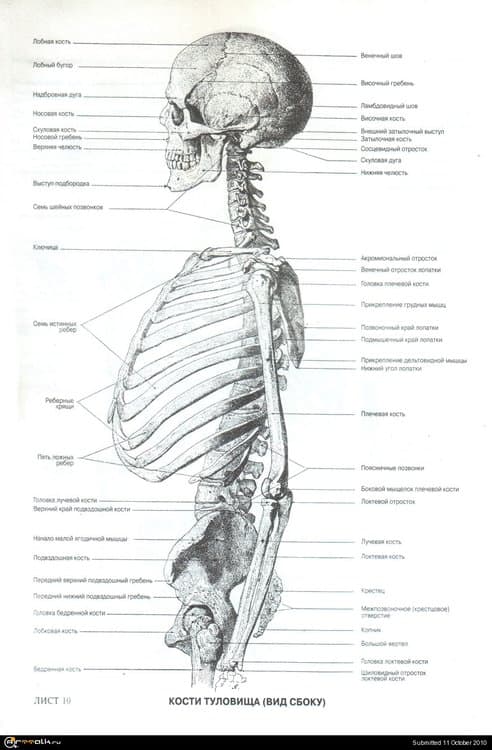 02.thumb.jpg.2e91c02c0aabf02fb521695ef72faa76.jpg