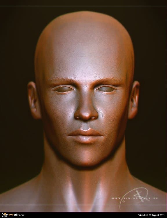 025.thumb.jpg.828280356bed7892c132c82b4e24bc47.jpg