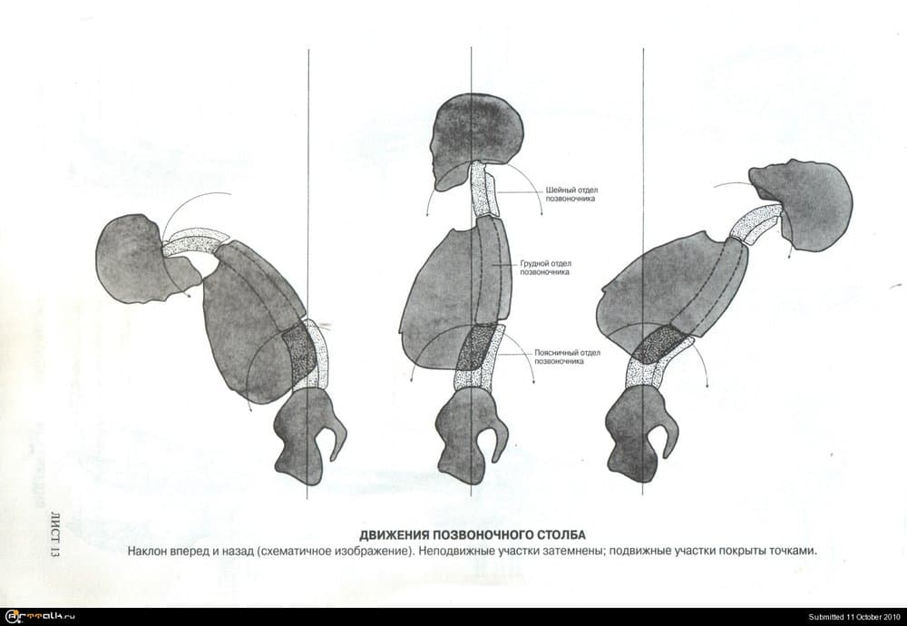 04.thumb.jpg.5e4cd8b76a2417f9cee2a993da170711.jpg