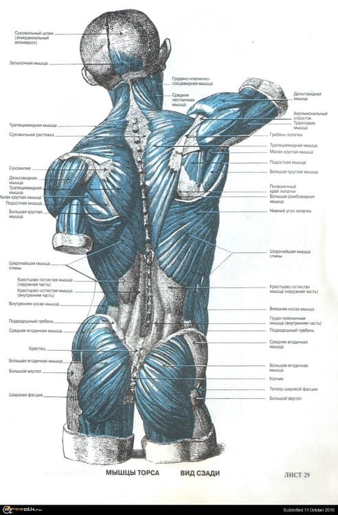 07.thumb.jpg.3ec6e641ce16e8880f9a32b4198ff2d8.jpg