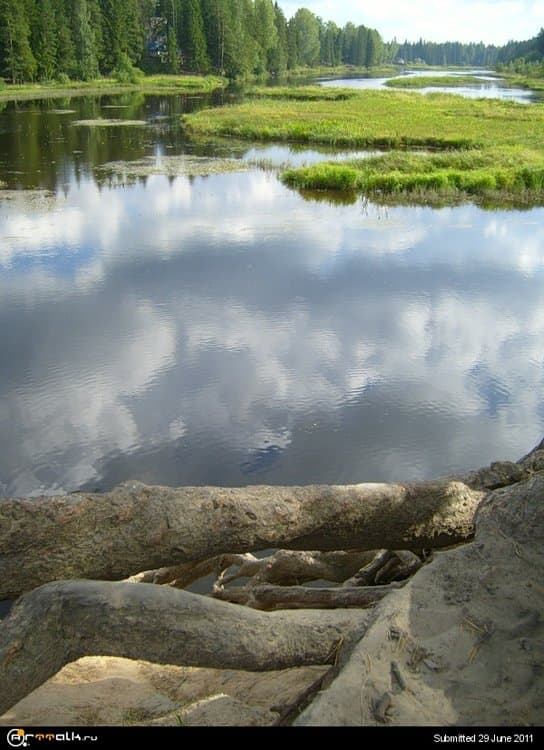 0_293d2_2e11ae8d_XL.thumb.jpg.038aa8110820165d66cfa756bcdc47bd.jpg