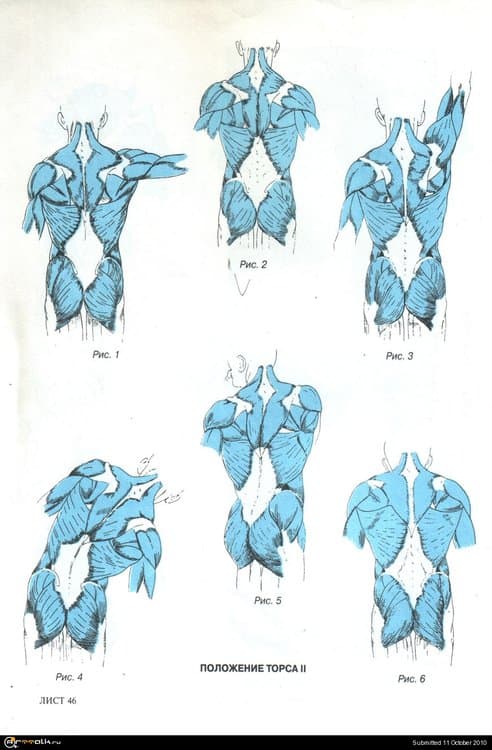 10.thumb.jpg.1876adb381f4df27fc9a23e061a63ab1.jpg