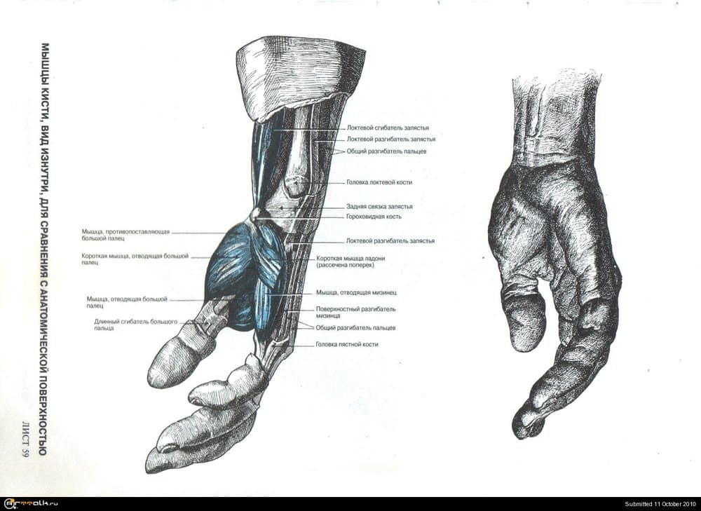 11.thumb.jpg.437e45d24afcc42dd28e393130dd6ec7.jpg
