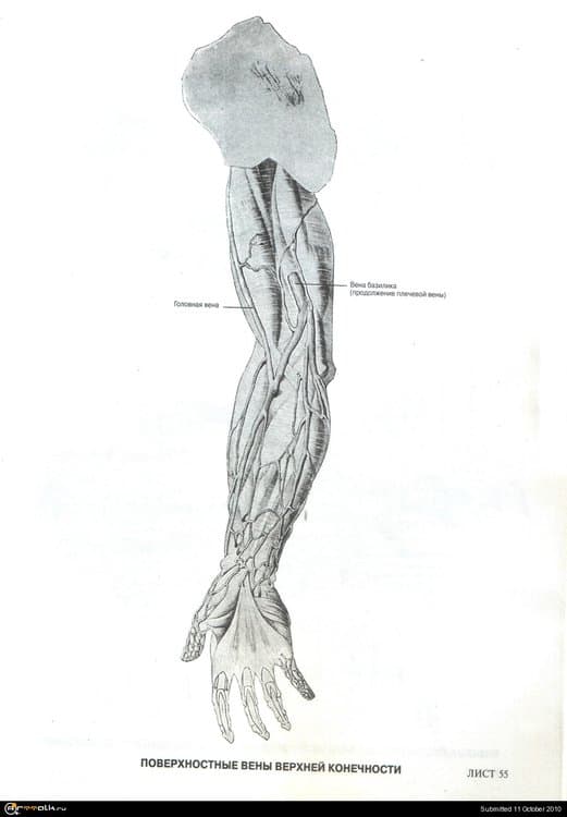 12.thumb.jpg.e4881a0372361d1c1f69702cd84df8fb.jpg