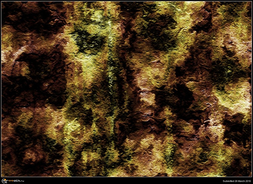 1205.thumb.jpg.94709faf3d42aa8b5451d429889bf543.jpg