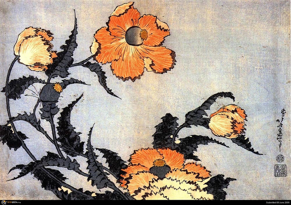 1226238321_hokusai_poppies.thumb.jpg.76bf6435d06979c466a76756c421f1ae.jpg