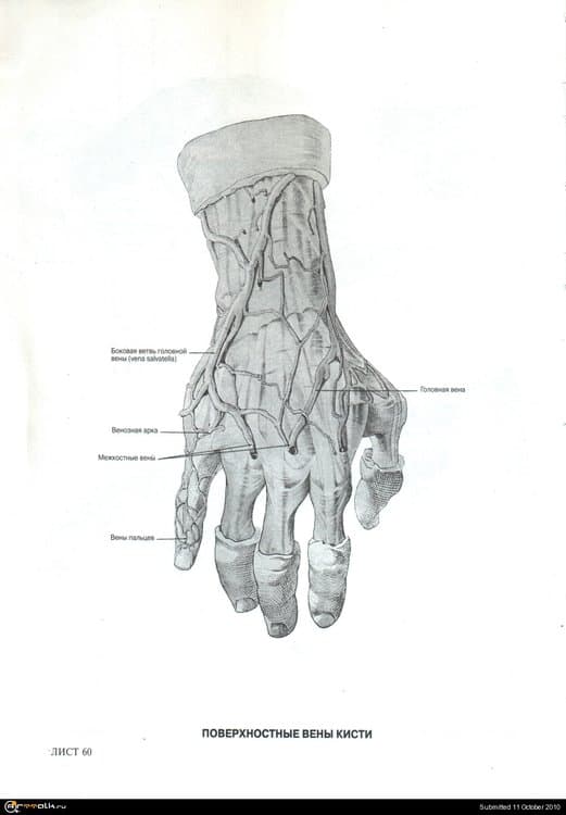 13.thumb.jpg.b4983cb7f23446dc3e32fed83194d980.jpg