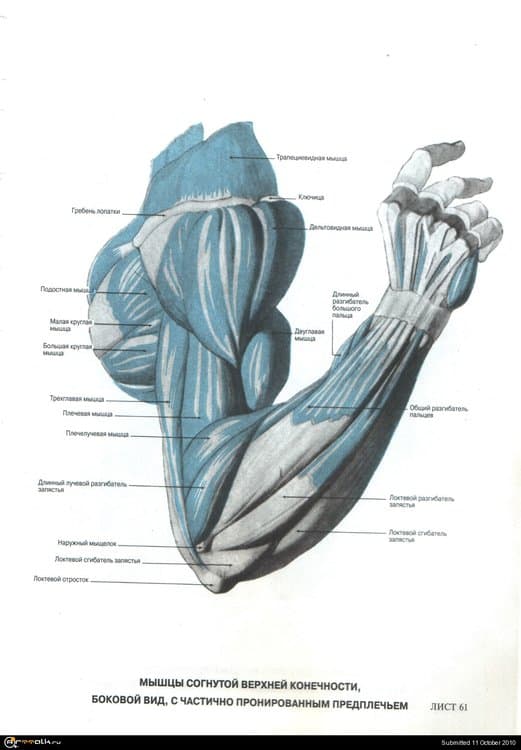 14.thumb.jpg.deff441dc0651e1c56a71e1cee6448c5.jpg