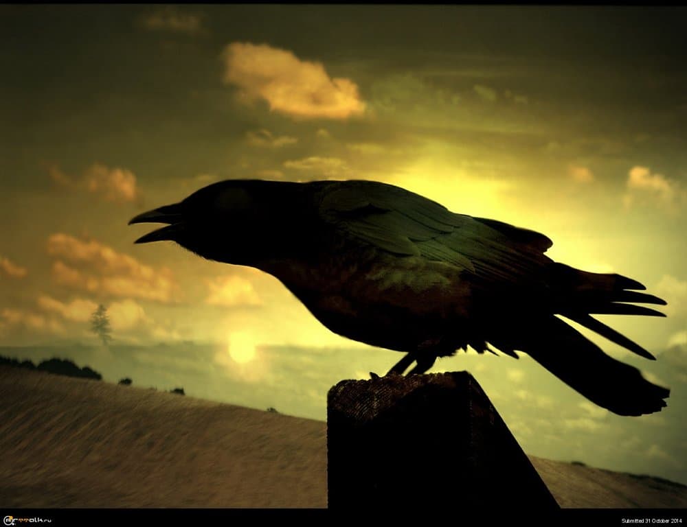 1440-Sunset-and-Raven.thumb.jpg.4980f13cf4ca9b36351f5f2a97667279.jpg