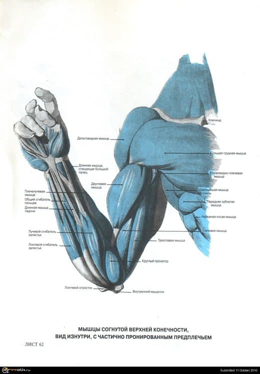 15.thumb.jpg.46cfbc91d59c646cb7ad4674b71689c7.jpg