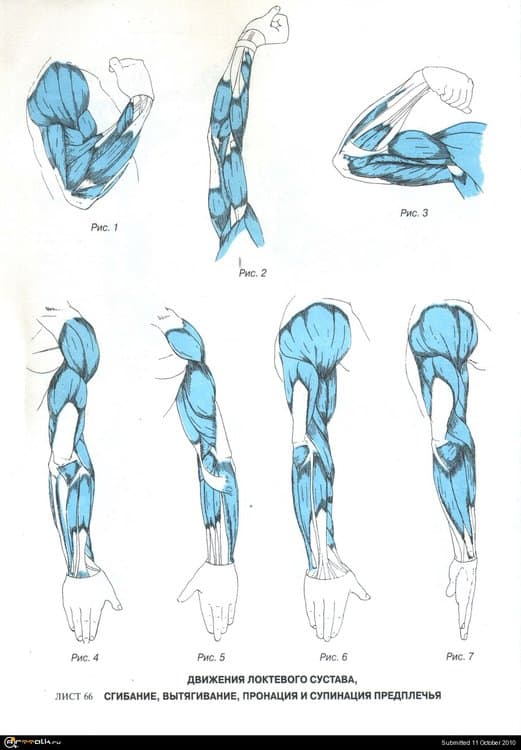 16.thumb.jpg.b31aceac53dc34b8640db2ef9b824347.jpg