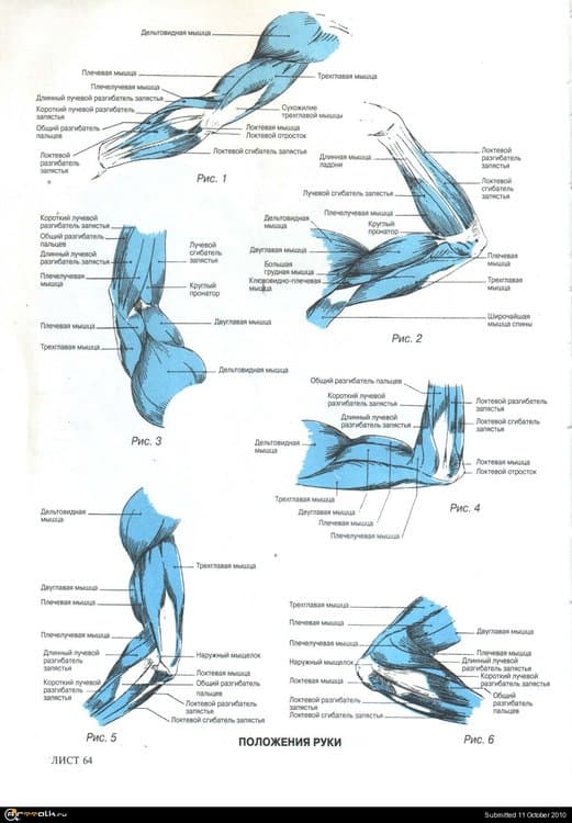 17.thumb.jpg.e69c5709475ab3ff0f8ac7aa5989415d.jpg