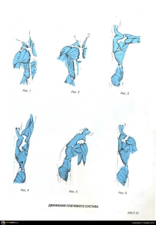 18.thumb.jpg.bbdd2e572ca974dc3a4dfed0e4ea5024.jpg