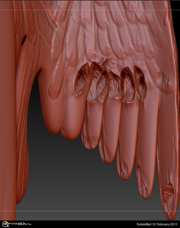 2.thumb.jpg.4b997b50f803b17c7c32fef9d7cc360b.jpg