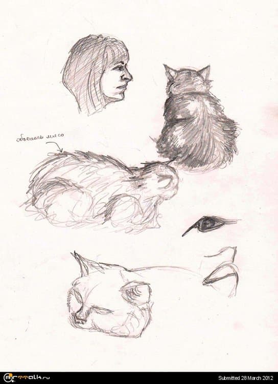 2134.thumb.jpg.fa3881f71508b8f664866f02bd6d3501.jpg