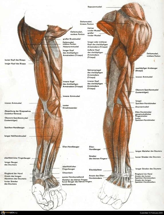 270.thumb.JPG.e0c988724bd5166cd46c8756e0019bac.JPG