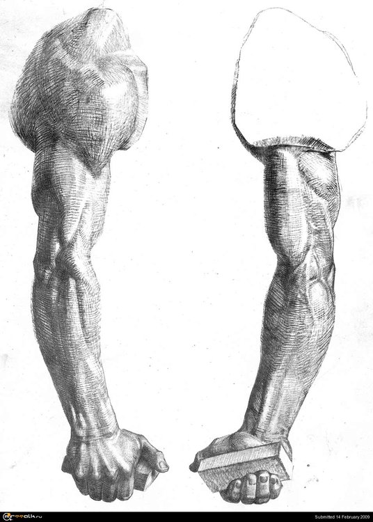 271.thumb.JPG.a2fae5e6a9073ab8140753219b1ad78e.JPG