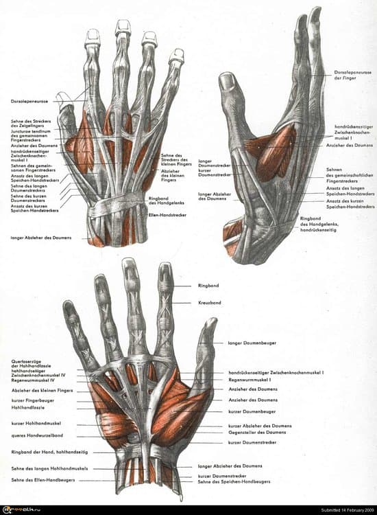 272.thumb.JPG.099e467b7f5f98f74be74042657517d1.JPG