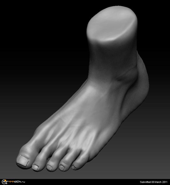 33333.thumb.jpg.7a5e0c20b0597ed78e9a84ee0ebe73b5.jpg
