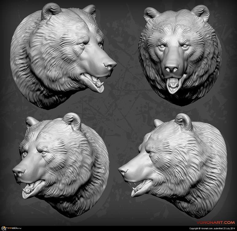 3d-bear-head-zbrush-sculpt-01.thumb.jpg.131b50407452399368a8b18bad910ffa.jpg
