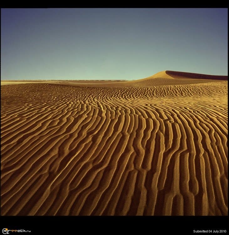 5.thumb.jpg.08178caff27c3da70ceb544a6ee0b8a8.jpg