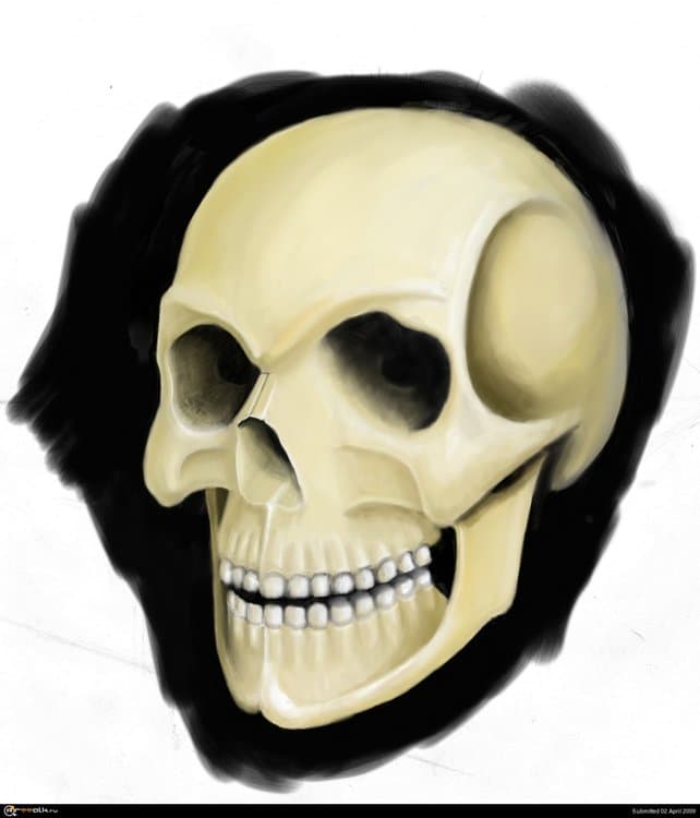 5a982125bd842_003-.thumb.jpg.fbbf6d63250b70ec3f73ad59b8a5687f.jpg