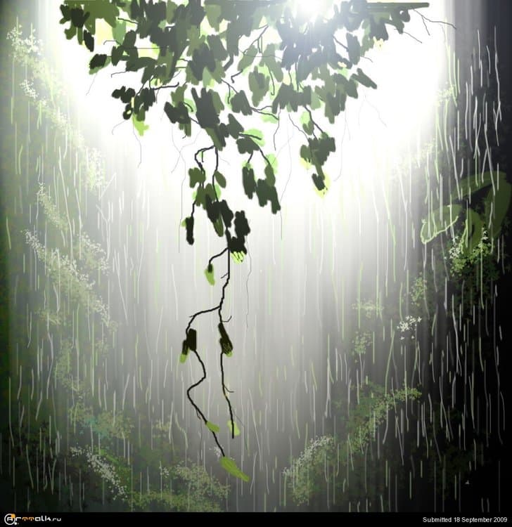 5a98237a272c4_Rain_Forest_Tropic2_resize.thumb.jpg.f88838701717047664b415d0a3e9490f.jpg