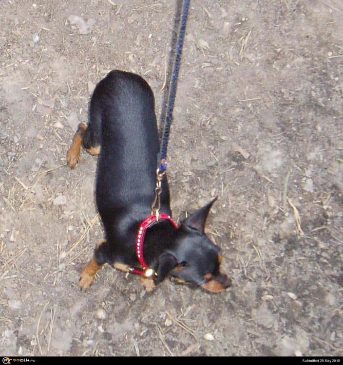 5a98266c66ad6_z_fileW8VZL.thumb.jpg.6e8e14ee42653e62721463aaf528117e.jpg