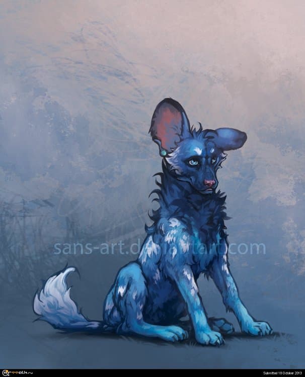 AfricanWildDogVan02.thumb.jpg.b644ed714e1523ce8dda891762592dfe.jpg