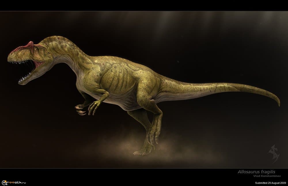 Allosaurus.thumb.jpg.efad8055fd27957409ee5d62767f40c5.jpg