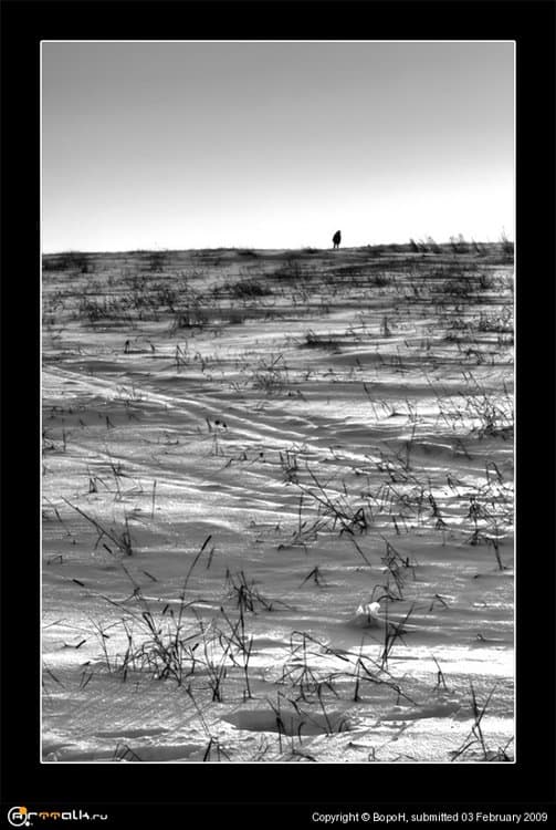 Alone_bw800.thumb.jpg.b9fe9999756936b2052741649ff886c3.jpg