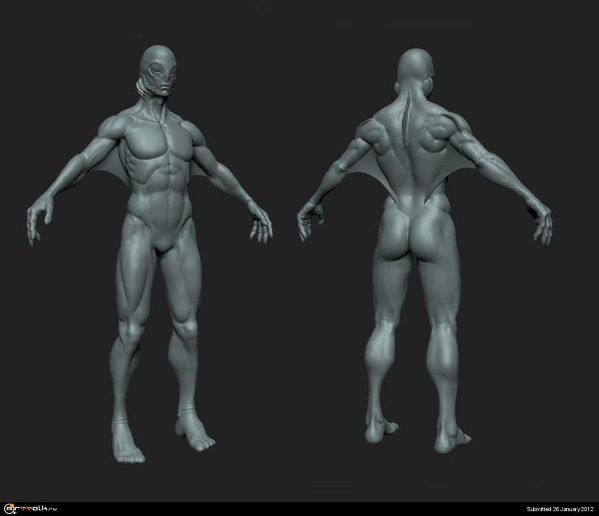 Amphibian_Body.thumb.jpg.42bd56500396720154993f4559fadaf1.jpg