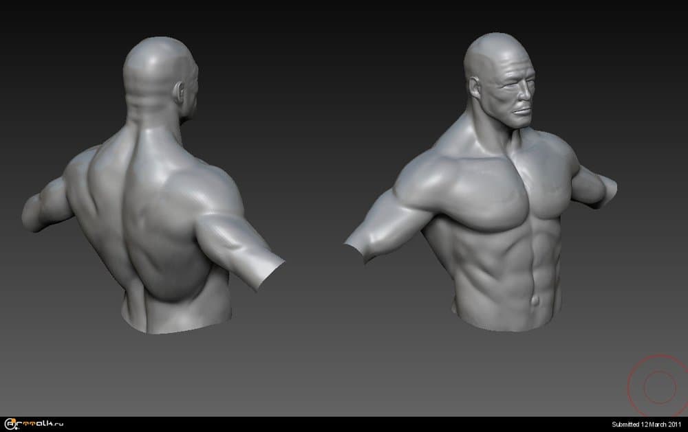 Body_WIP.thumb.jpg.160cf987f0dc8efaff1c49198378971e.jpg