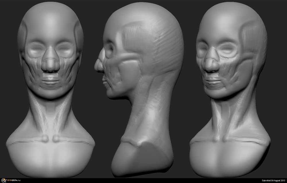 Bust.thumb.jpg.e3489bc113ffe0f2a5ebf738bec6b790.jpg